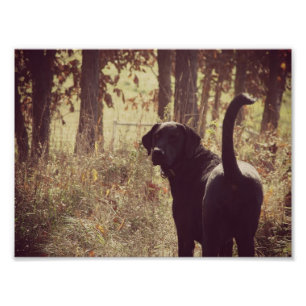 Jetta Girl Photo Print