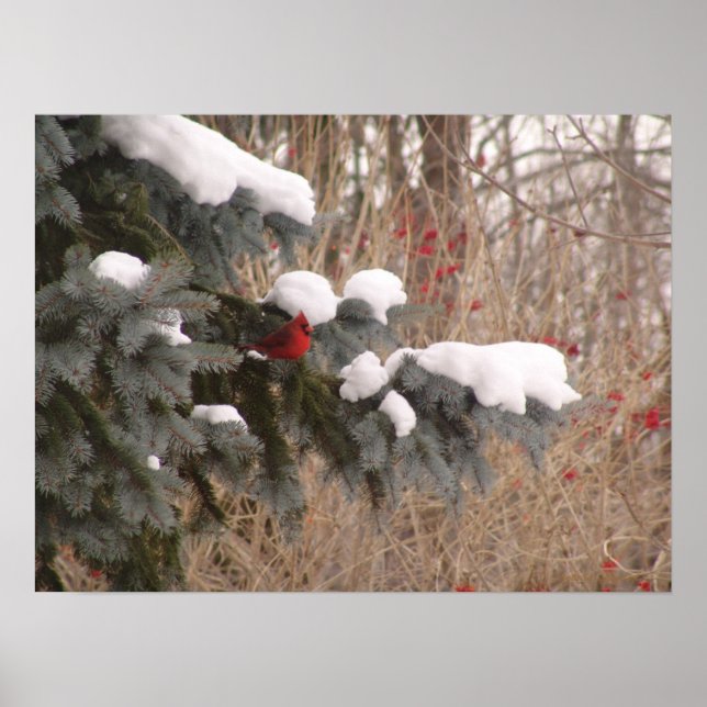 Jewel Among Trees Poster (Front)