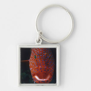 Jewel Grouper, Cephalopholis miniata Key Ring