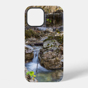 Jewel Of Henning Conservation iPhone 12 Case