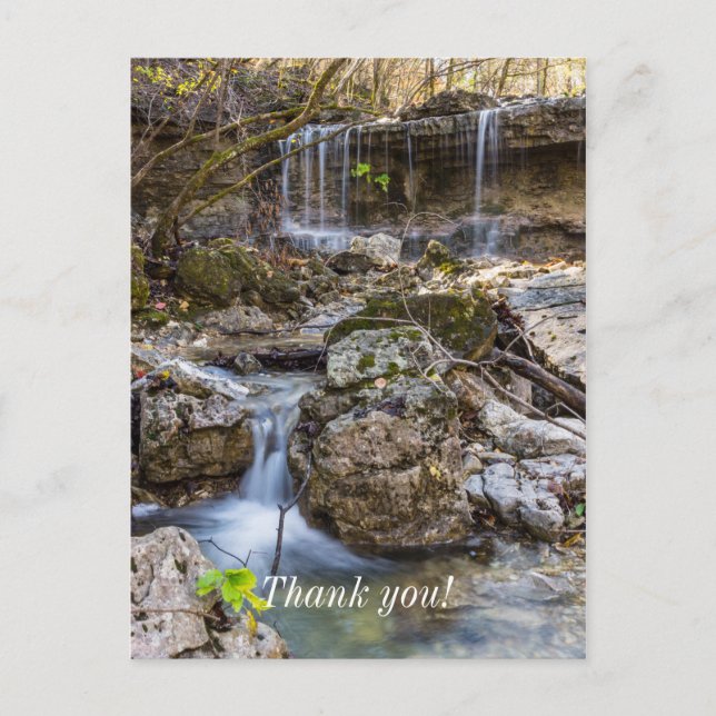 Jewel Of Henning Conservation Thank you Postcard (Front)