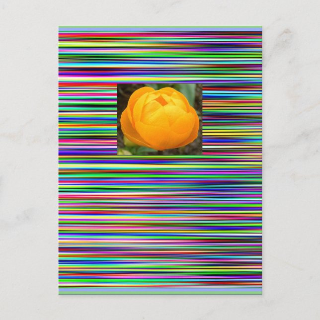 Jewel Stripes TULIP POSTCARD (Front)
