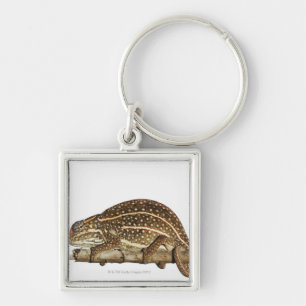 Jewelled chameleon, Campan's chameleon Key Ring