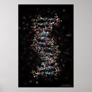 Jewelled DNA Poster