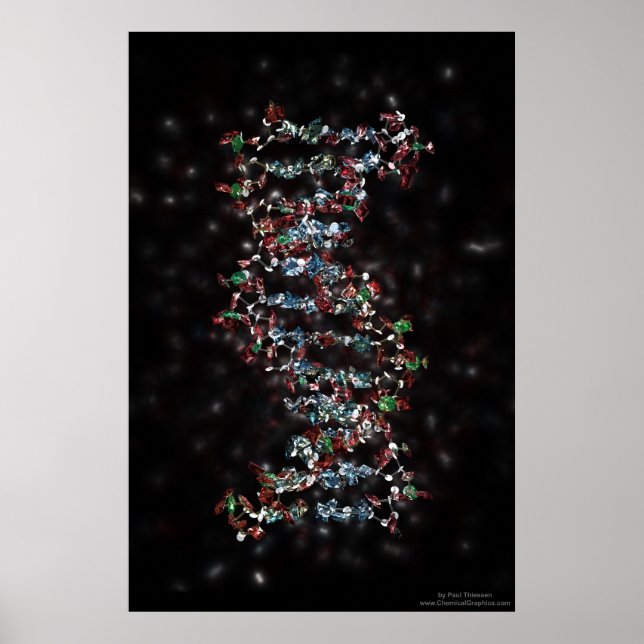 Jewelled DNA Poster (Front)