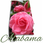 Jewellery - Pin - ALABAMA Photo Sculpture Badge<br><div class="desc">The camellia was designated the state flower of Alabama in 1959, replacing the original state flower, the goldenrod. There is much symbolism associated with the lovely camellia: gratitude, perfectionism, love, affection and admiration. This wonderful design is a tribute to this beautiful bloom and also pays homage to our wonderful 22nd...</div>