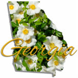 Jewellery - Pin - GEORGIA Photo Sculpture Badge<br><div class="desc">Though sometimes called the "Empire State of the South", Georgia's official nickname is "The Peach State". No wonder. Georgia is the Number One producer of peanuts, pecans and peaches. The Cherokee Rose, lovely and fragrant, has a sad tale associated with it. A tragic event, in 1838, in which thousands of...</div>