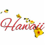 Jewellery - Pin - HAWAII Photo Sculpture Badge<br><div class="desc">Aloha! Hawaii -- our jewel in the Pacific. Hawaii consists of eight MAIN islands: Niihau, Kauai, Oahu, Maui, Molokai, Lanai, Kahoolawe and the "Big Island" of Hawaii. The "Big Island" is getting even bigger. It is estimated that the island of Hawaii grows by more than 40 acres every year because...</div>