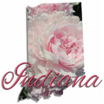 Jewellery - Pin - INDIANA Photo Sculpture Badge<br><div class="desc">True to its motto, "Cross Roads of America" Indiana has more miles of Interstate Highway per square mile than any other state. The Indiana state Motto, can be traced back to the early 1800s. In the early years river traffic, especially along the Ohio, was a major means of transportation. At...</div>
