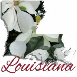 Jewellery - Pin - LOUISIANA Photo Sculpture Badge<br><div class="desc">Jambalaya, Zydeco, Creole, Cajun, Jazz, Mardi Gras . . . all of those immediately bring to mind the beautifully diverse state of Louisiana. Some Louisiana urban environments have a multicultural, multilingual heritage, being so strongly influenced by a mixture of 18th-century French, Haitian, Spanish, Native American, and African cultures that they...</div>