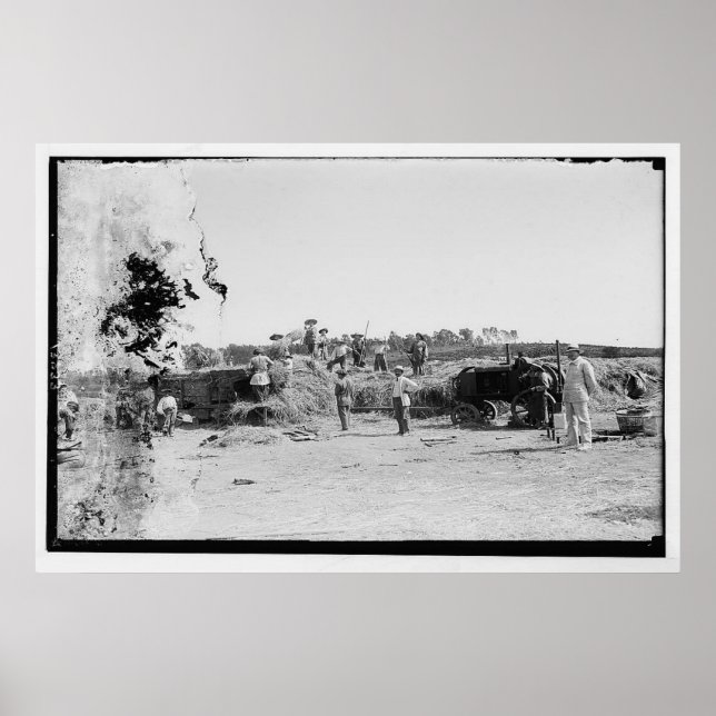 JEWISH HISTORICAL POSTERS - JEWISH HARVESTING (Front)