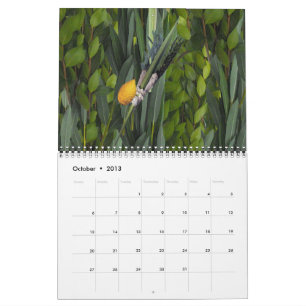 Jewish Life Calendar