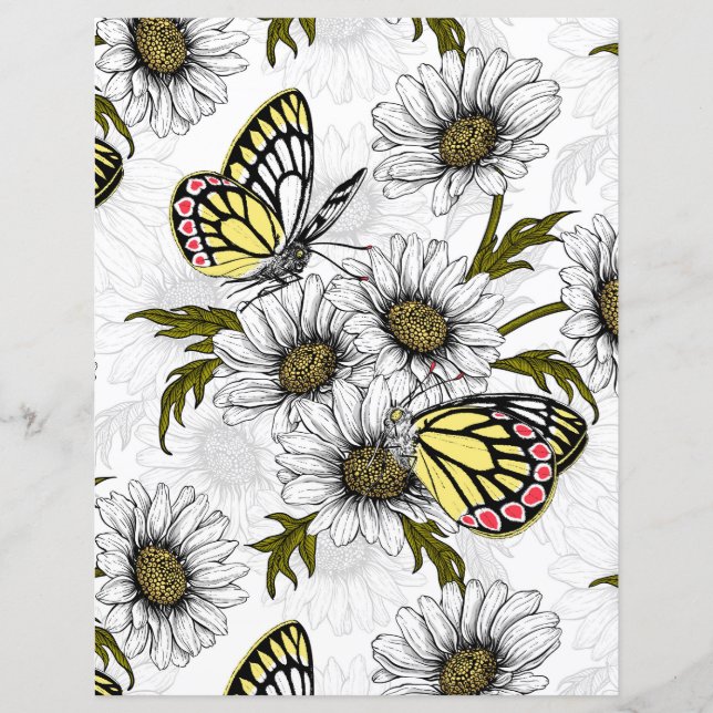 Jezebel butterflies and daisy flowers on white (Front)