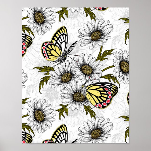 Jezebel butterflies and daisy flowers on white poster (Front)