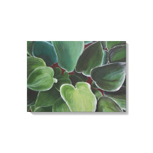 JGM - hostas