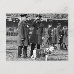 Jiggs Knows Football: 1923 Postcard