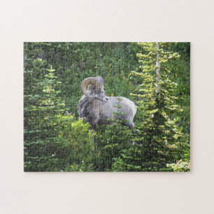 Jigsaw Glacier National Park Montana. Jigsaw Puzzle