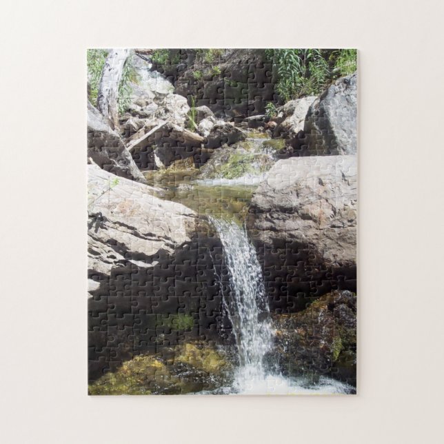 Jigsaw photo puzzle featuring Idaho stream scene. (Vertical)
