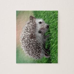 jigsaw puzzle