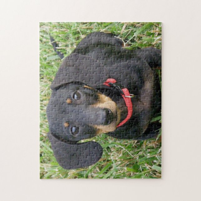 jigsaw puzzle -  Dachshund (Vertical)