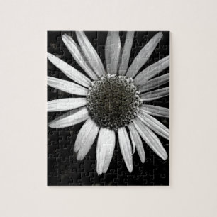 jigsaw puzzle daisy black and white photo art