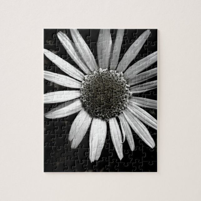 jigsaw puzzle daisy black and white  photo art (Vertical)