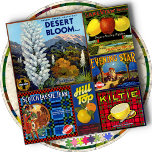 JIGSAW PUZZLE - Desert Bloom: Produce Crate Labels<br><div class="desc">A large 20 inch square Jigsaw Puzzle combining 6 images of Vintage Produce Crate Labels into one large image collage. ►This puzzle is available only in the square 20x20 inch size with 676 pieces. ►►The light blue background colour which appears as the separator between images as well as around the...</div>