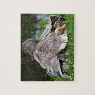Jigsaw Puzzle: Mallard duck and ducklings Puzzle