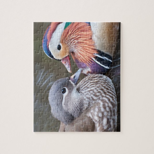 Jigsaw Puzzle: Mandarin ducks Puzzle (Vertical)