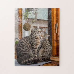 Jigsaw Puzzle of two cats together