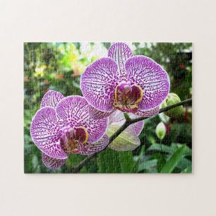 Jigsaw Puzzle Purple Freckled Orchids