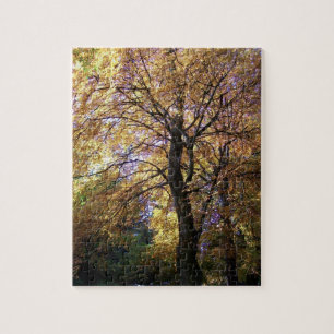 Jigsaw Puzzle with Autumn Beech Trees