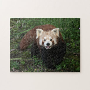 jigsaw - red panda puzzle