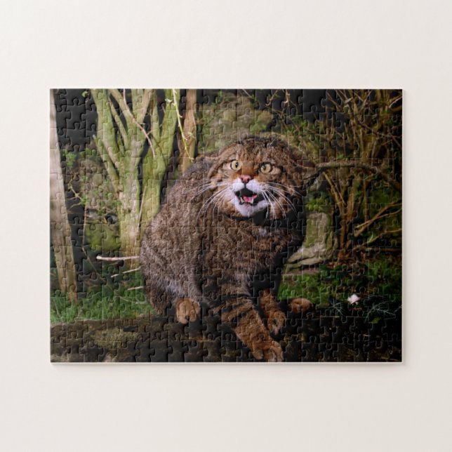 jigsaw - Scottish wildcat Jigsaw Puzzle (Horizontal)