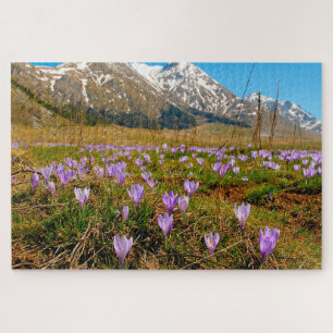 Jigsaws Crocuses Abruzzo Gran Sasso Italy. Jigsaw Puzzle