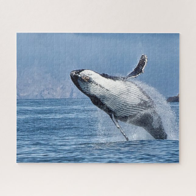 Jigsaws Humpback Whales. Jigsaw Puzzle (Horizontal)