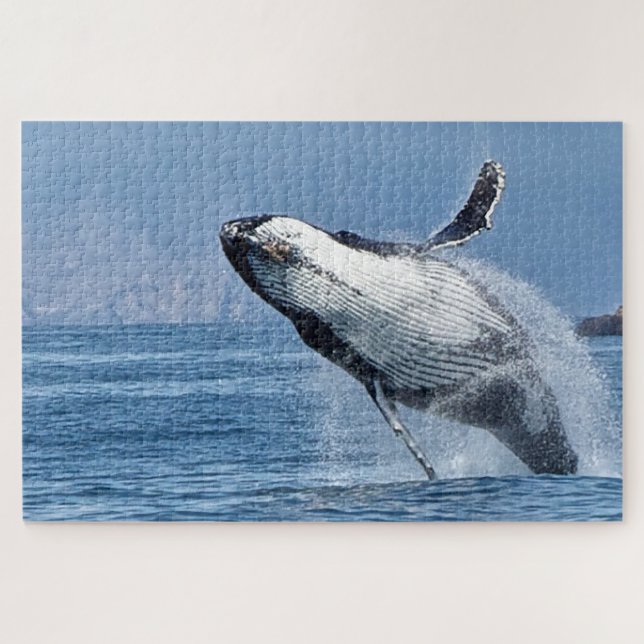Jigsaws Humpback Whales. Jigsaw Puzzle (Horizontal)