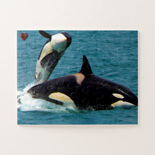 Jigsaws Orcas or Killer Whales Jigsaw Puzzle