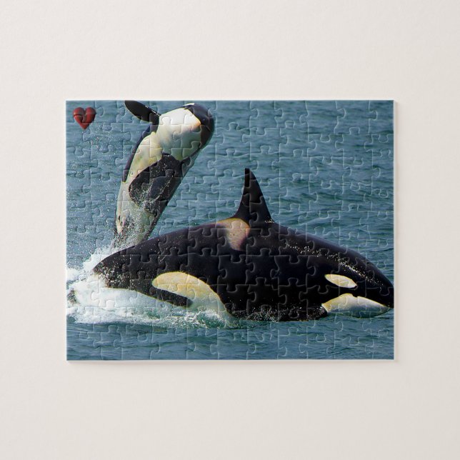 Jigsaws Orcas or Killer Whales Jigsaw Puzzle (Horizontal)