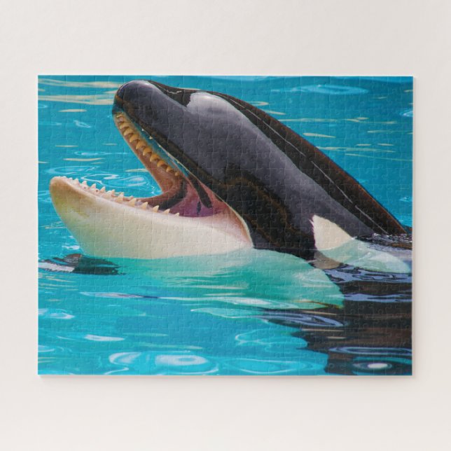 Jigsaws Orcas or Killer Whales Jigsaw Puzzle (Horizontal)