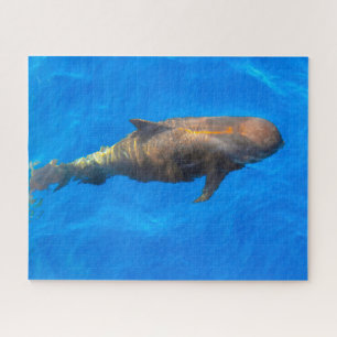 Jigsaws Pilot Whales Jigsaw Puzzle