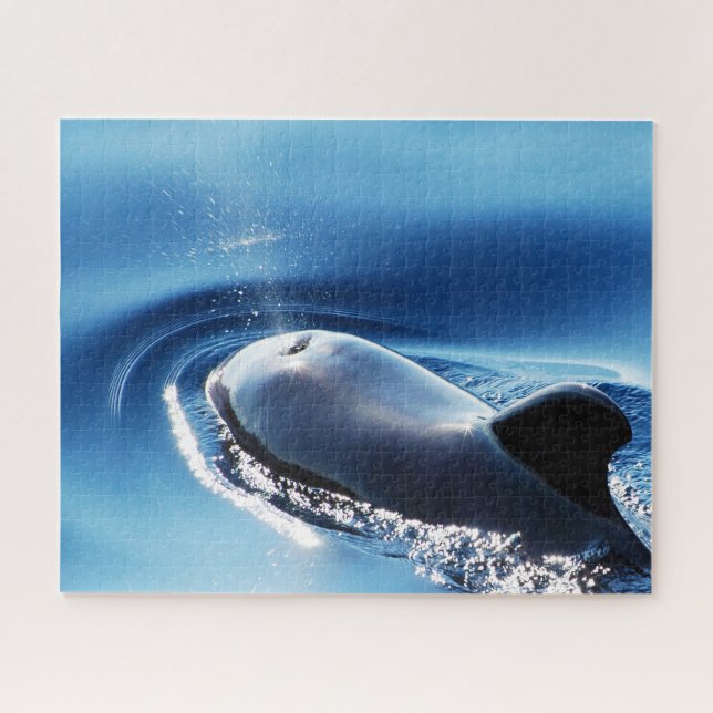 Jigsaws Pilot Whales Jigsaw Puzzle (Horizontal)