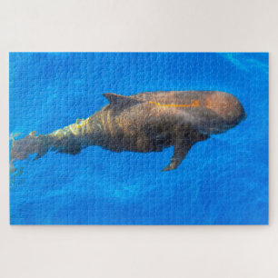 Jigsaws Pilot Whales Jigsaw Puzzle