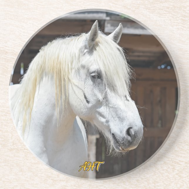 Jilly Horse Rescue Coaster (Front)