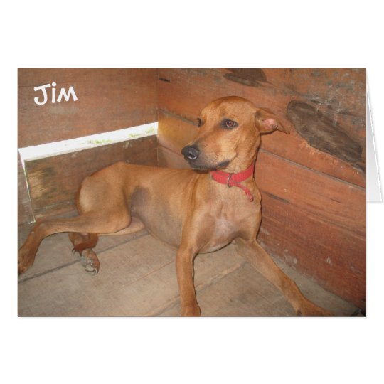 Jim: Runs and jumps, refuses to be contained! Card