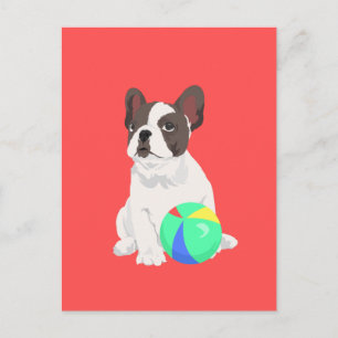 Jim The French Bulldog Plays with His Ball Postcard