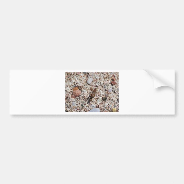 Jiminy Cricket Bumper Sticker (Front)