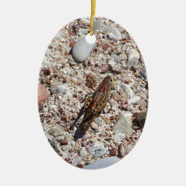 Jiminy Cricket Ceramic Ornament (Front)