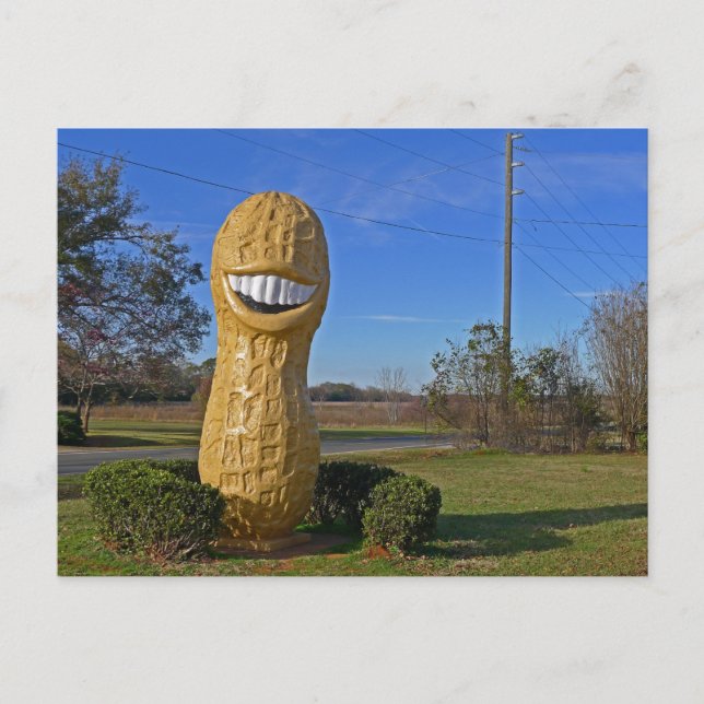 Jimmy Carter Smiling Peanut - Plains GA Postcard (Front)