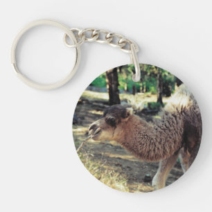 Jingle Baba and Jelly Baba Key Ring